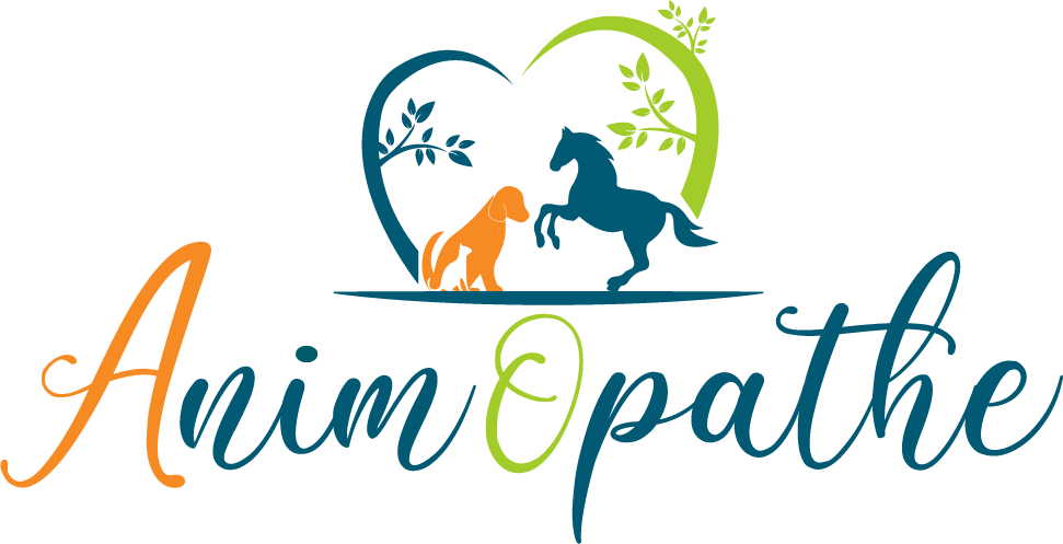 Logo de Animopathe - naturopathe animalier pratiquant soin et naturopathie pour les animaux à Lyon et dans la région lyonnaise